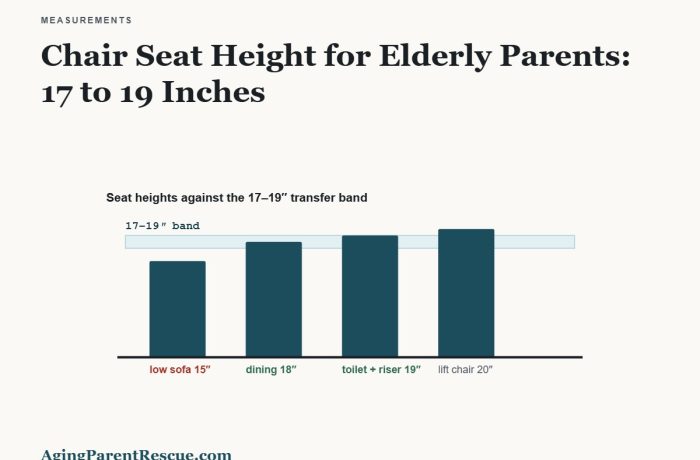 Bar chart of seat heights drawn to scale showing a low sofa at fifteen inches falling below the seventeen to nineteen inch transfer band, with dining chair, raised toilet seat and lift chair inside or above it