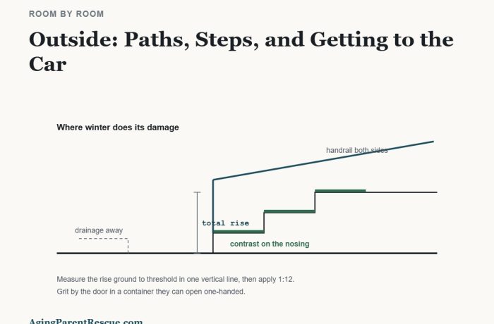 Section through outdoor steps showing handrails, contrast nosings, drainage routed away from the path and the total rise measurement