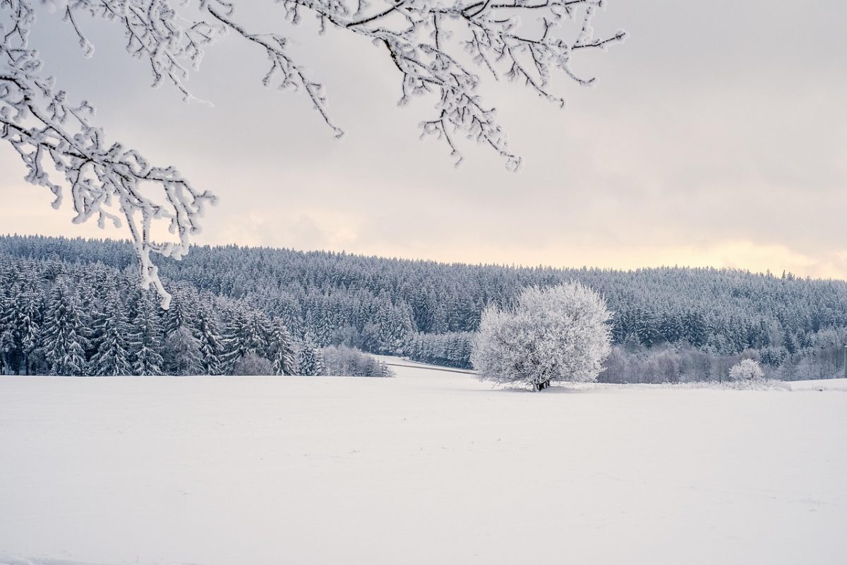 A snow-covered path, the kind of surface that turns an entrance into a fall risk